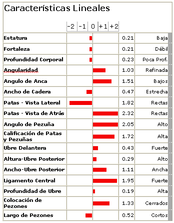 ¿Cómo elegir que Toros usar? Primera Parte - Image 7