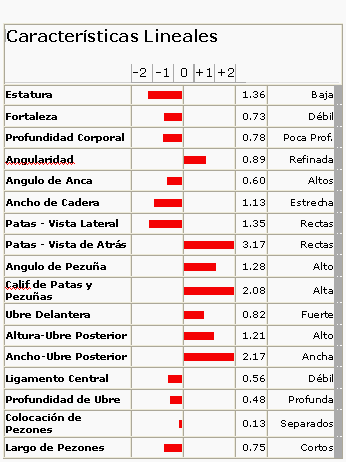 ¿Cómo elegir que Toros usar? Primera Parte - Image 8