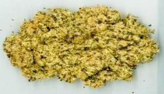 Extrusión de Semilla de Algodón – Fuente de aminoácidos y vitaminas - Image 2