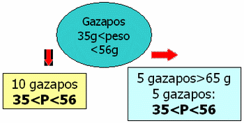 Nidificación y Homogeneización - Image 1