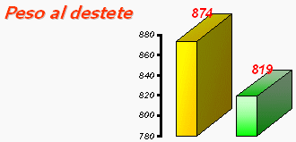Nidificación y Homogeneización - Image 2