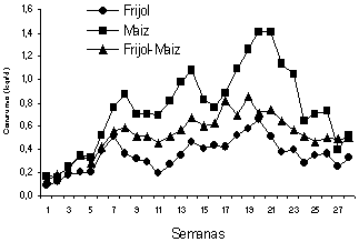 Harinas de planta entera de frijol (Vigna unguiculata) y de mazorca de maíz (Zea mays) como suplemento para becerros antes del destete - Image 7