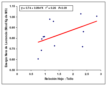 Pasto Maralfalfa: Mitos y Realidades (Parte Segunda) - Image 13