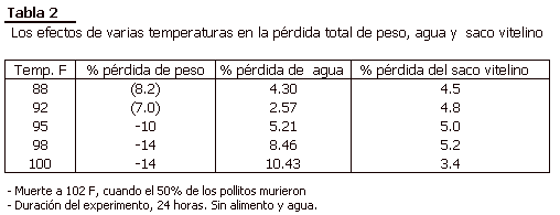 Cuatro pilares de manejo de pollitos - Image 2