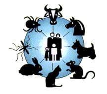 Siglo XXI: ¿Era de las Zoonosis? - Image 1