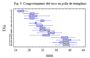 La Uniformidad en la Avicultura: Interpretación desde la Calidad - Image 10