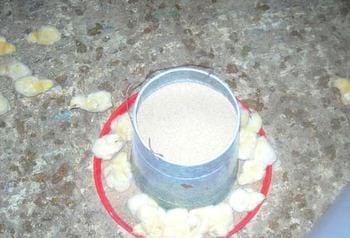 Calidad de Pollito bb afectado desde la incubadora, Caso - Image 26