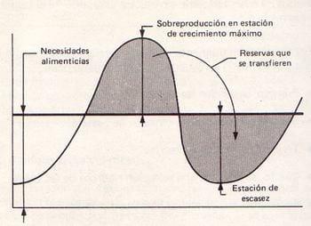 Elaboración de Bloque Multinutricional - Image 1