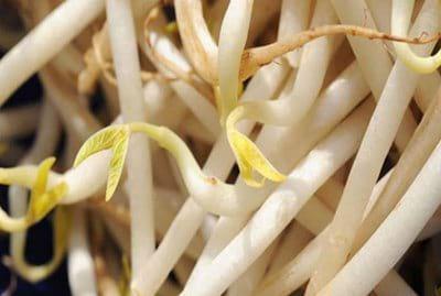Un dilema, Escherichia Coli Enterohemorrágica: ¿Es segura la alimentación ciento por ciento de procedencia organica? - Image 2