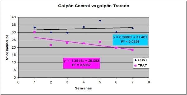 Control del Alphitobius Diaperinus en cama de pollos parrilleros con el producto Eco-Guard® - Image 1