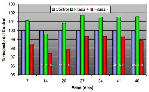 Uso de fitasa protegida en la alimentación de aves - Image 3