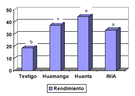Asteraceas y Amaranthaceas Forrajeras de Ayacucho - Image 6