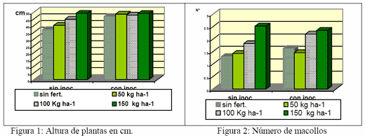 Relación entre la inoculación con Azospirillum y la fertilización con fosfato di amónico en el cultivo de trigo - Image 1