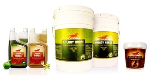 Aceites Esenciales Omega-3 en Equinos - Image 1