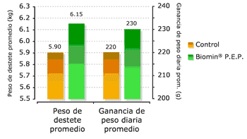 Fitogénicos como poderosos mejoradores del desempeño productivo en la producción de cerditos - Image 2