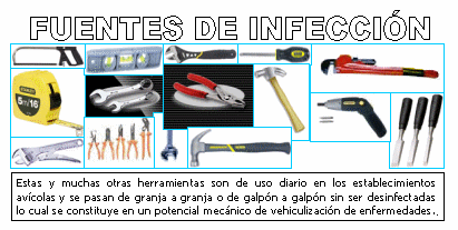 ¿Existe conciencia de lo que es la Bioseguridad? (3ª Parte) - Image 3