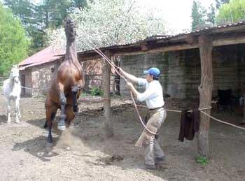 El bozalejo de cadena - Image 4