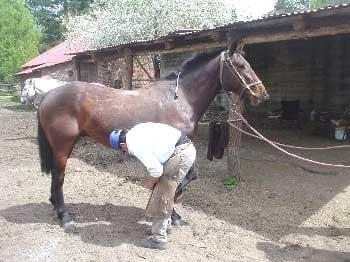 El bozalejo de cadena - Image 5
