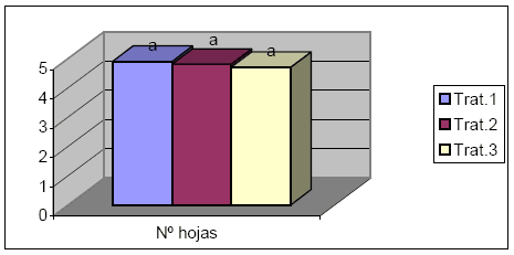 Efecto de la inoculación con Bradyrhizobium Japonicum en el cultivo de maíz (Zea mays) - Image 2
