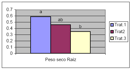 Efecto de la inoculación con Bradyrhizobium Japonicum en el cultivo de maíz (Zea mays) - Image 4