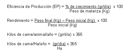 La eficiencia en la producción de carne en el Departamento de Arauca (Colombia) - Image 3