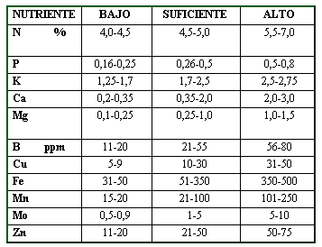 Conceptos generales sobre fertilización de soja - Image 5