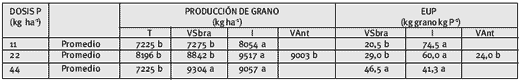 Aplicaciones incorporadas y al voleo de fertilizantes fosfatados al cultivo de maíz. - Image 3