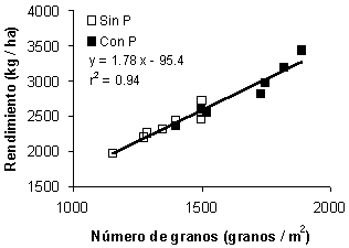 Fertilización Fosforada del Cultivo de Soja - Image 1
