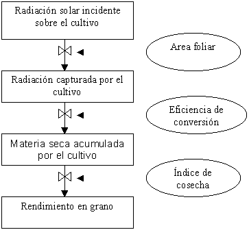 Fertilización Fosforada del Cultivo de Soja - Image 2