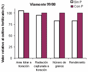 Fertilización Fosforada del Cultivo de Soja - Image 5