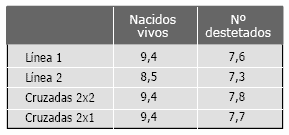 Producción Industrial de Gazapos: Algunos puntos críticos - Image 1