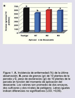 Alternativa para disminuir la producción de esclerocios en girasol afectado por podredumbre - Image 2