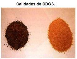 Ingredientes alternos para cerdos. Conocer para decidir su inclusión - Image 22