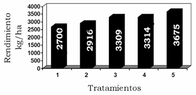 Inoculación en soja: un nuevo sistema que permite mejorar la captura de nitrógeno - Image 1