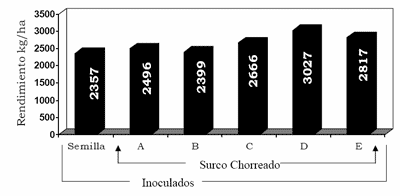 Inoculación en soja: un nuevo sistema que permite mejorar la captura de nitrógeno - Image 2