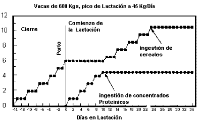 Recomendaciones para la alimentación de las vacas lecheras - Image 1