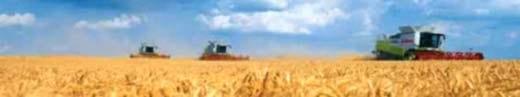 Claas Argentina. LEXION 600 - Image 1