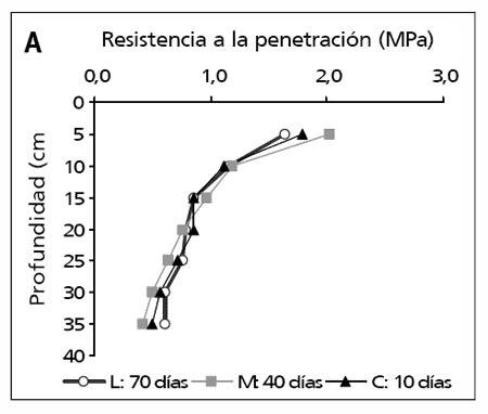 Longitud del barbecho para girasol en sistemas mixtos de la región pampeana - Image 2