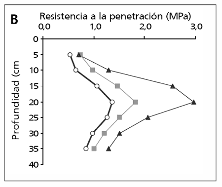 Longitud del barbecho para girasol en sistemas mixtos de la región pampeana - Image 3