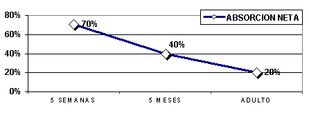 Fisiología del Magnesio 1 - Image 23