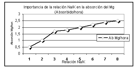 Fisiología del Magnesio 1 - Image 24