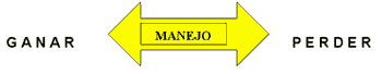 Manejo del rebaño ovino - Image 1