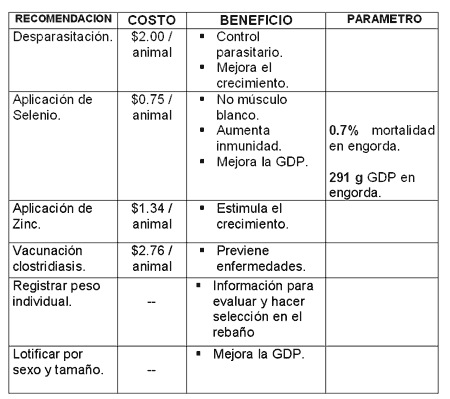 Manejo del rebaño ovino - Image 13