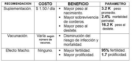 Manejo del rebaño ovino - Image 5