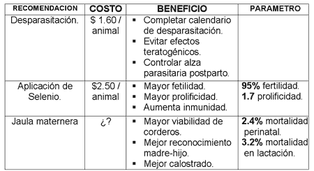 Manejo del rebaño ovino - Image 6