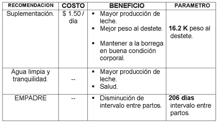 Manejo del rebaño ovino - Image 7