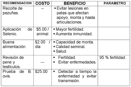 Manejo del rebaño ovino - Image 9