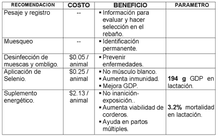 Manejo del rebaño ovino - Image 11