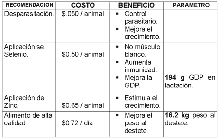Manejo del rebaño ovino - Image 12