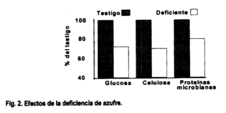 Los minerales en la reproducción bovina - Image 6